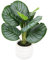 Künstliche Korbmaranthe Calathea Kunstblume Kunstpflanze Dekopflanze Tropische Zimmerpflanzen Maranthus Pflanze Blume Photospflanze Deko Seidenblume Grünpflanze Büropflanze Blattpflanze Busch