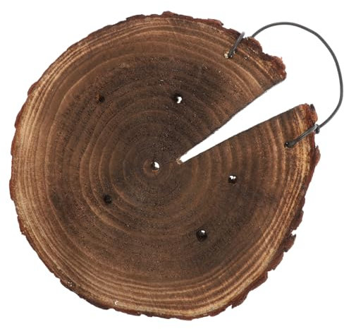 Happyyami Jardinière Suspendue Bois pour Maison Décoration Murale Jardinière Murale Bois pour Plantes