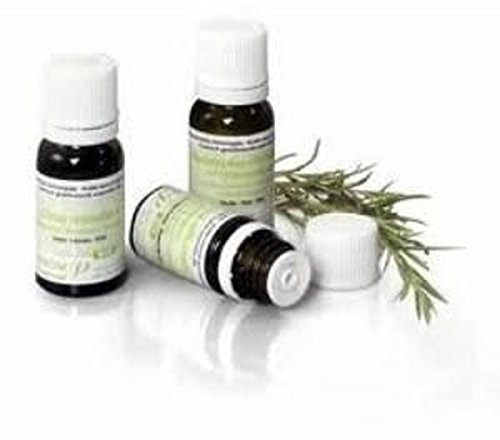 Pranarom Qt Verbenona ätherisches Öl Bio 5 ml