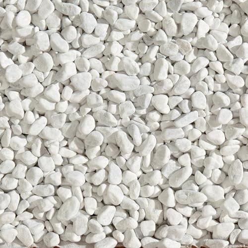 Zandobbio Ciottolo di Marmo Bianco Carrara Sacco da 25 kg Sassi Pietre arredo Giardino vasi