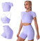 IMEKIS Damen 3 tlg Fitness Set Sport-BH mit Crop-Top und Shorts Nahtlose Yoga Kleidung Fitness Workout Outfit Frauen Slim Fit Sommer Biker Activewear Laufanzug Lila M