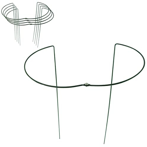 Hummelladen 5X Pflanzenstütze rund - Ø 30 cm - 100 cm hoch - aus 5mm kunststoffummantelten Draht - Blumenhalter Stütze Blumen Stauden Büsche grün