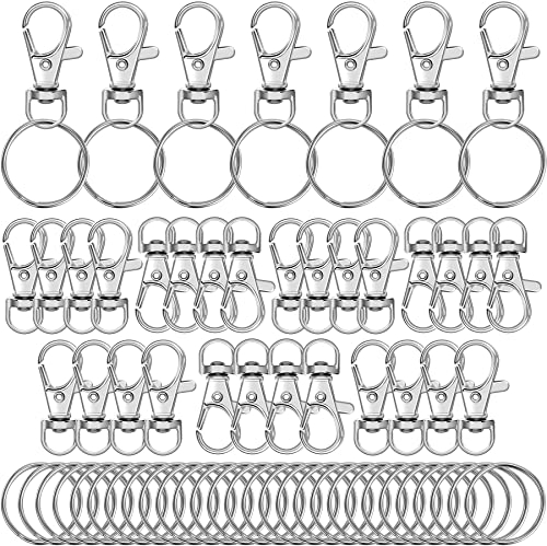 Augshy 100 Stück Schlüsselanhänger Clip Haken und Schlüsselringe,Silber Drehverschlüsse Lanyard Karabinerhaken für Schlüsselanhänger Schmuck DIY Handwerk