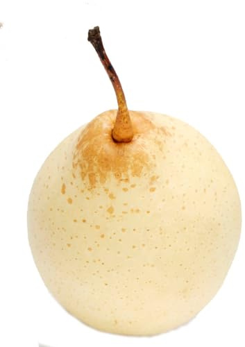 Crown Pears, Small Round Chinese Pears with Speckled Skin (3)