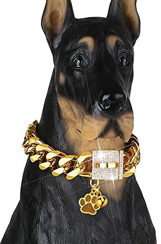 Goldkette für Hunde, Edelstahl, strapazierfähig, starke Beschichtung, mit 18-karätigem Gold und glänzender CZ-Diamant-Schnalle, Anti-Kauen, Kuba-Gliederkette für Größe M und L (Gold, 35,6 cm)