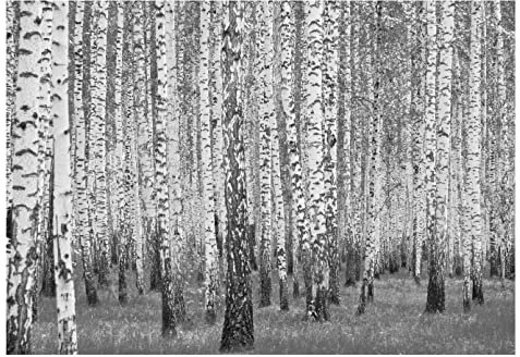 WallArena - Vlies Fototapete Wald aus Birken 208x146 cm - Fototapeten - Tapeten - für Wohnzimmer Schlafzimmer - Vliestapete Wandtapete Tapete 3D Effekt- inkl. Kleister - Schwarz und weiß