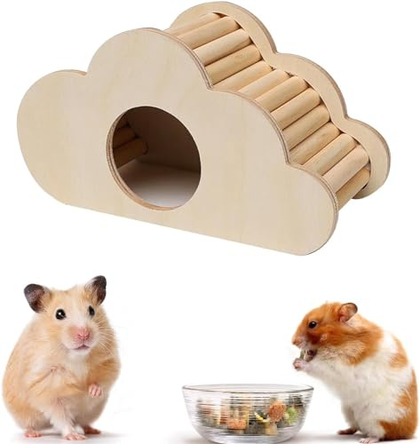 Norhogo Accessori per criceti, casetta in legno, giocattoli, accessori per cincillà, ratti, scoiattoli, piccoli e dorati, a forma di nuvola