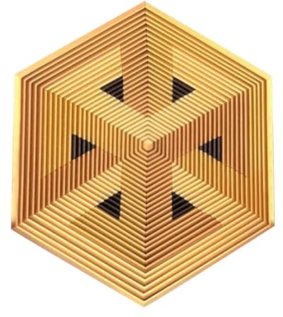 Pruojhw 3D-Gedrucktes Fidget Sechseck | Sensorische 3D-Illusion Coole Gadgets - Drehendes Sechseck Fidget Toys Für Erwachsene - Für Konzentration Reise Lernen Büro Schule Kinder Erwachsene