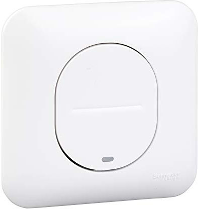 Schneider Electric - Ovalis - interrupteur - lumineux temoin/localisation - avec griffes avec plaque - S265263