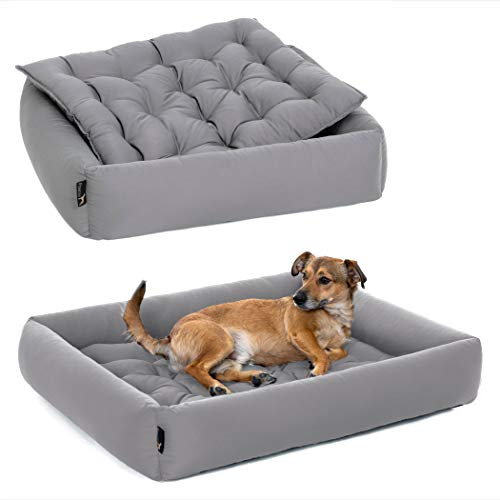 Pointer | Hundebett Kleine Hunde - Orthopädisches Hundebett mit Herausnehmbarer Matratze, Waschbar bis 95°C, Trocknergeeignet, Kratzfest & Bissfest, Made in Germany (M - 70x60 cm, Hellgrau)