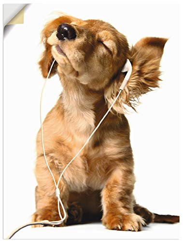 ARTland Wanddeko Wandtattoo selbstklebende Vinylfolie 60x80 cm Tiere Hund Dackel Welpen Süß Lustig Musik Kinder T5QE