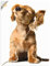 ARTland Wanddeko Wandtattoo selbstklebende Vinylfolie 60x80 cm Tiere Hund Dackel Welpen Süß Lustig Musik Kinder T5QE