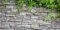 MIRRORANG 180x61cm Stein Ziegelwand Aquarium Hintergrund Felsen Aquarium Hintergrund Frühling Blätter Terrarium Hintergrund