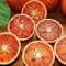 Portal Cool 20pcs: Naranjas de Valencia Gran Sangre frutas de naranja Navel Semilla Inicio Jardín Ãrbol de la planta 20PC
