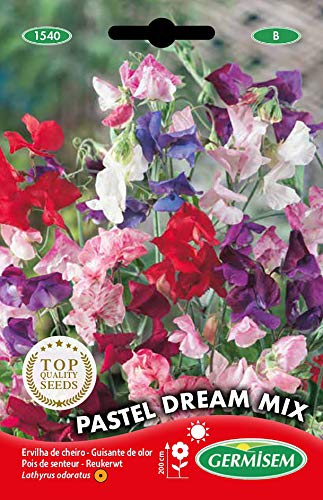 Germisem Pastel Dream Mix Semillas de Guisantes Dulces 1.5 g