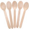 LotFancy Disposable Wooden Spoons, 100Pcs 6.25 inch Wood Cutlery Spoon, Biodegradable Compostable Eco-friendly Birchwood Sampling Tasting