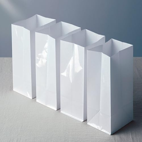 White Plastic Reusable Luminary Bags, Christmas Luminaries for Outdoors, Wedding, Birthday, Halloween, Thanksgiving(Not Include Light) (40pcs)