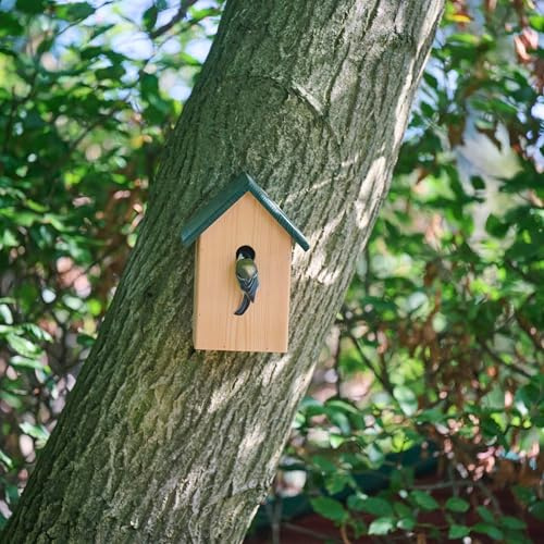 CJ Wildlife Nistkasten – Vogelnistkasten für Meisen, Spatzen – Holz FSC 100% Grün/Braun – mit regenabweisendem Dach und Metallaufhängung – für draußen