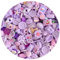 50pcs Cute Slime Charms Mixed Set Resin Flatback Making Supplies for DIY Craft Making and Ornament Scrapbooking Beads Assorted Candy Fruit Cake Ornament