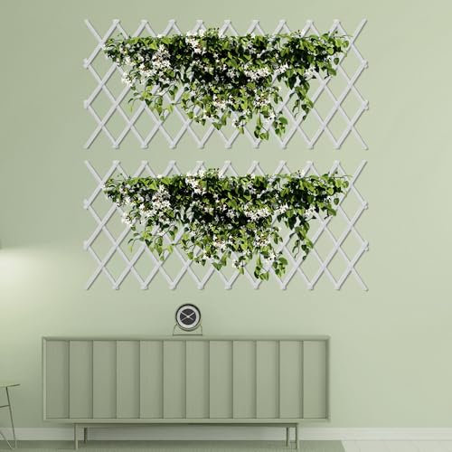 Lot de 2 treillis de jardin extensibles en aluminium pour clôture de jardin, 244 x 122 cm, support vertical pliable pour vignes, patio, décoration murale intérieure et extérieure et plantes grimpantes