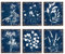SUPERDANT Drucke Mit Botanischem Farn, Eukalyptus, Blauer Tinte, 8x10 Set von 6 ungerahmt, Aquarell, Indigo, Marineblatt, Wandkunst, Leinwand, Poster, Gemälde Für Zuhause, Büro, Dekoration