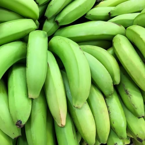 350 pcs Bananensamen, Musa nana extrem winterharte kübelpflanzen, seeds Bananenpflanz Samen Winterhart bio saatgut, sukkulenten winterhart säulen obstbäume, pflanze säulenobst winterhart