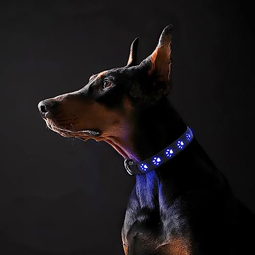 ORIA Leuchthalsband Hund, LED Leuchthalsband für Hund USB Aufladbar, Verstellbare Hunde Halsbänder, 3 Licht Modus, Leuchtet im Dunkeln, für Hunde Katzen - Blau/M (15,7 - 19,7)