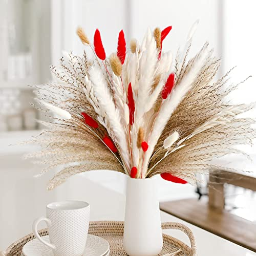 Natürliche Pampasgras Deko 75 Stück DIY Trockenblumen für Pampasgras Getrocknet Strauss, Ideal for Boho Wohnzimmer-Schlafzimmer-und Vasen Deko (75 Stück)