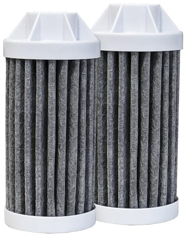 Epic Everywhere Flaschenfilter komplett | 75 Gallonen Gesamtfilterlebensdauer | 3–4 Monate Vorrat | kompatibel mit allen Epic Wasserflaschen | ersetzt Alltag und Outdoor (Kartusche doppelt)