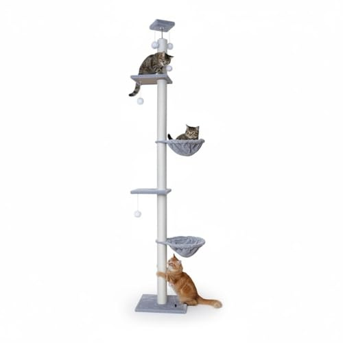 COTTECOTA Árbol Rascador para Gatos de Suelo a Techo, Gris, 40x30x240-270cm, Poste de 6cm de Grosor con Tornillo de 8mm, Mueble Vertical con Plataformas y Hamacas