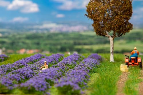 Faller - Lavender Field - FA181279