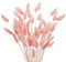JKDHJK 50 Stäbchen Pampasgras Trockenblumen Verwelken Nie Trockenblumen Deko Boho Deko Super Flauschig Für Deko Schlafzimmer, Badezimmer Deko, Tischdeko, Wand Deko (Rosa)
