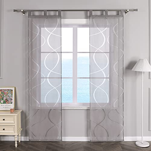 ESLIR Schiebegardinen Voile Flächenvorhänge Set 2er Schiebevorhang Wohnzimmer Gardinen mit Schlaufen Schlaufenschals Transparent Vorhang Ausbrenner Grau BxH 57x225cm 2 Stück