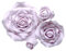 Sugar Roses - Fiori di pasta di zucchero, decorazioni per torte, matrimoni, compleanni, 4 misure tra cui scegliere, 8 x 1 cm