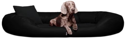 tierlando® Orthopädisches Hundebett Sammy VIP mit Visco-Matratze und hohem Rand aus Kunstleder-Velours-Mix für gelenkschonenden Schlaf und höchsten Komfort Größe: 140x105cm | Farbe: 01 Braun