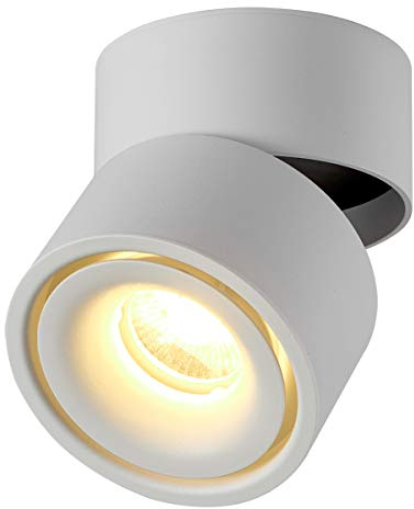 Dr.lazy 10W LED Aufbauleuchte Deckenleuchte, Deckenspots, wandleuchten, Deckenfluter, Deckenstrahler, DeckenLampe, Deckenbeleuchtung, Deckenleuchte, Aluminium