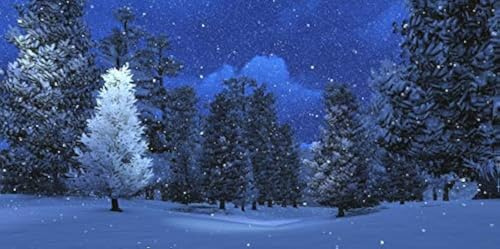 Yeele 6 x 3 m Winternacht Schneefall Hintergründe Rustikale Dorf Nachtsicht Wald Bäume Schneeflocke Fotografie Hintergrund Frohe Weihnachten Frohe Weihnachten Frohe Neues Jahr Party Banner Dekoration