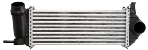 THERMOTEC DAM019TT Ladeluftkühler/LLK Turbokühler Kompatibel mit RENAULT KANGOO Express FW0/1 144963234R 144961489R 4150900014