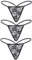 comeondear G-String Ficelle Femme String Chic sous Vetements Feminins Grande Taille Culotte Tanga Dentelle Stretch Slip Taille Basse String Underwear Thong T-Back Lot de 3(Noir,L)