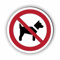 Verbotszeichen/Verbotsschild Mitführen von Hunden verboten (P021) - zum markieren von Verbotszonen nach DIN EN ISO 7010