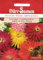 Zinnie Samen Gärtnerstolz Mischung Zinniensamen Prachtmischung Bienenfreundlich Schnittblume Rabatten ca 70 Korn Saatgut Blumensamen Dürr Samen