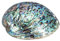 BESPORTBLE Coquille D'ormeau Polie Naturelle pour Le Maculage Le Nettoyage de L'encens Brûlant Le Parfum de La Maison La Compensation D'énergie Yoga 10-12 Cm
