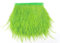 YYCRAFT Ribete de plumas de avestruz natural de 2 yardas con flecos, para costura, manualidades, disfraces, decoración (verde lima)
