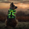 LED Hundegeschirr Leuchtend, USB Aufladbar, Brustgeschirr Hund Reflektierendes & Atmungsaktiv, Beleuchtetes Geschirr für Nachtspaziergänge, für Klein Mittelgroße Grosse Hund (Schwarz Grün,M)