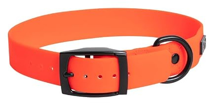 Martin Rütter – Halsband Hund SoftVinyl Neonorange Größe S – Hundezubehör Hundehalsband Wasser- & schmutzabweisend aus weichem PVC für kleine Hunde – Dog Collar pflegeleicht, hygienisch & UV-fest