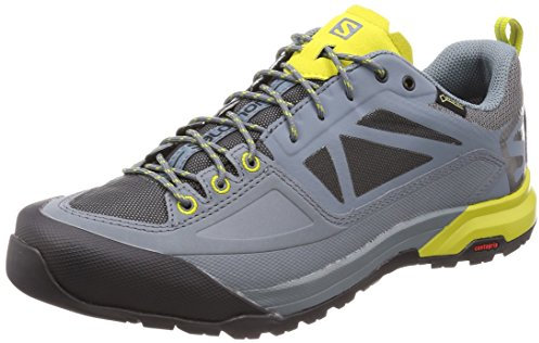 Salomon X Alp Spry GTX®, Herren Trekking- & Wanderhalbschuhe, Grau (Stormy Weather/Magnet/Citronelle 000), 40 2/3 EU