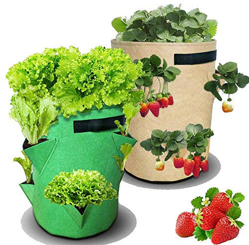 Sac Planteur pour Fraisiers