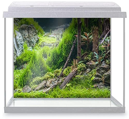 DV DESIGN Aquarium Fish Tank Background 62x52 cm - Forest Nature Style Tank Variety Aquatic Plants Moss Aquatic Image Static Cling Vinyl Vivarium Terrarium External Application #500004