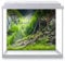 DV DESIGN Aquarium Fish Tank Background 62x52 cm - Forest Nature Style Tank Variety Aquatic Plants Moss Aquatic Image Static Cling Vinyl Vivarium Terrarium External Application #500004