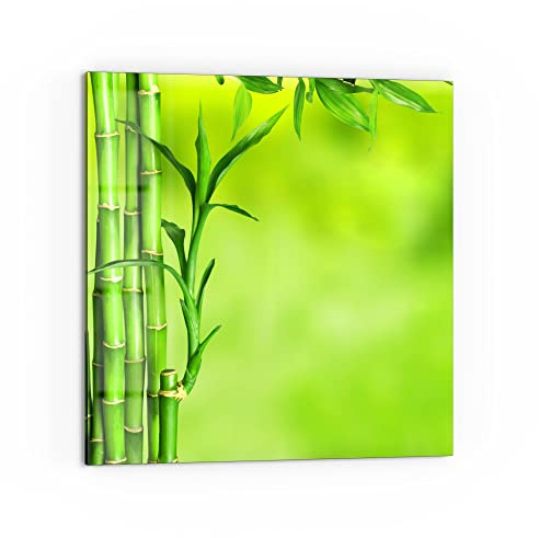 DEQORI Küchenrückwand Glas | Motiv Grüne Bambushalme | 60x60 cm | Bad- oder Herd-Rückwand | Herdblende Spritzschutz für Küche & Badezimmer | moderne Deko für Fliesenspiegel